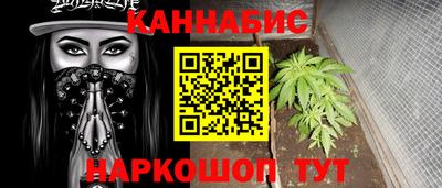дмт Пенза