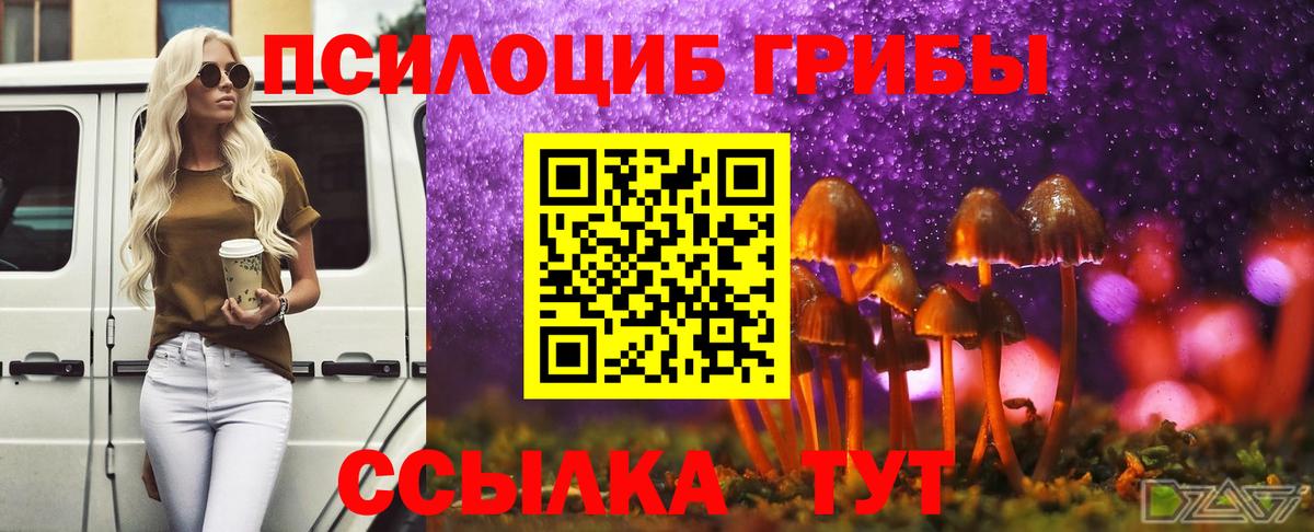 Галлюциногенные грибы Psilocybe Советский